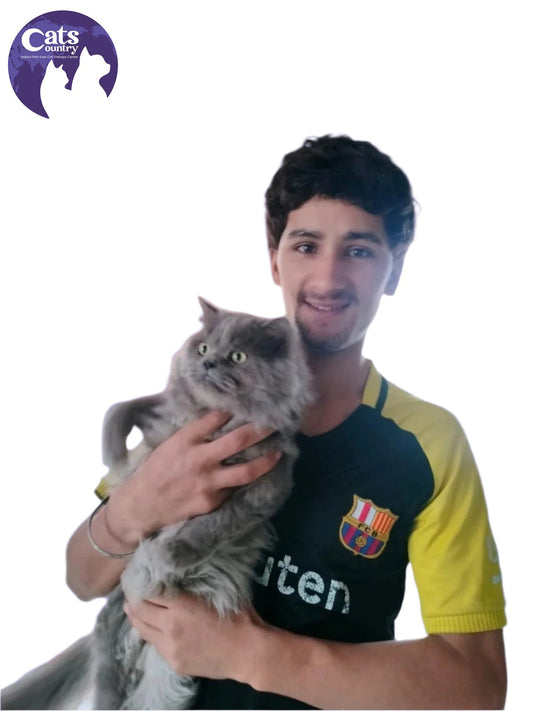 CAT SITTING (Home Service)