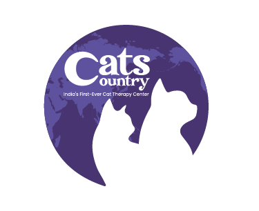 Cat Boarding Services