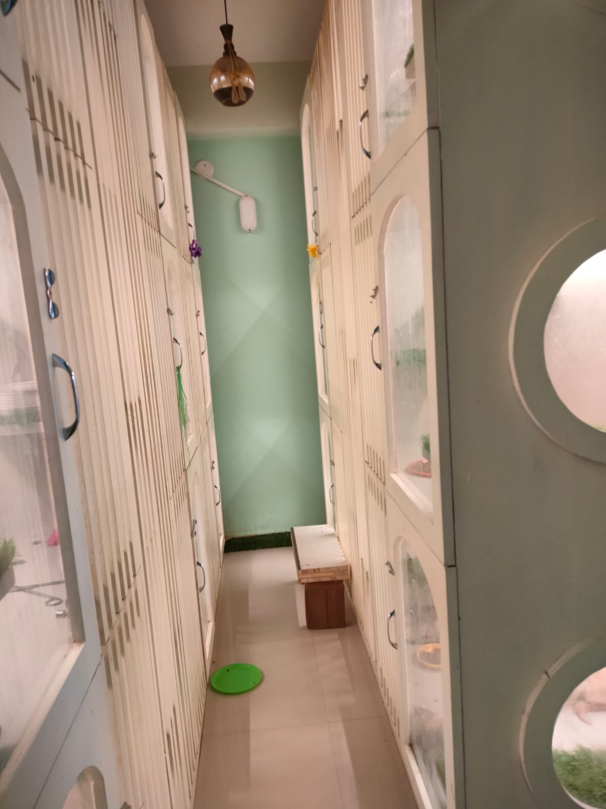 Cat Boarding Services