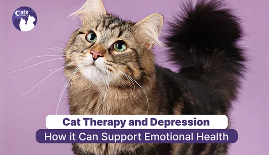 Cat Therapy and Depression: How It Can Support Emotional Health
